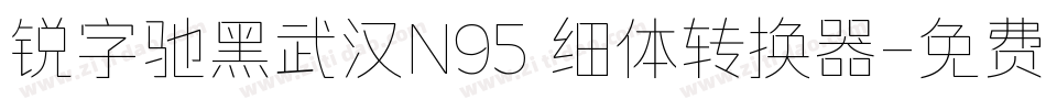 锐字驰黑武汉N95 细体转换器字体转换